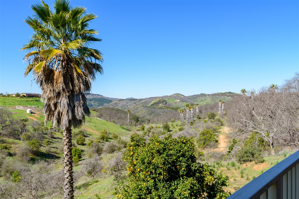 10398 Lilac Ridge Road Escondido, CA 92026 - Photo 25 of 25