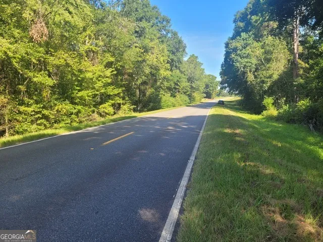 $55,000 | Lot 224 Chula Brookfield Road, Chula, GA 31733
