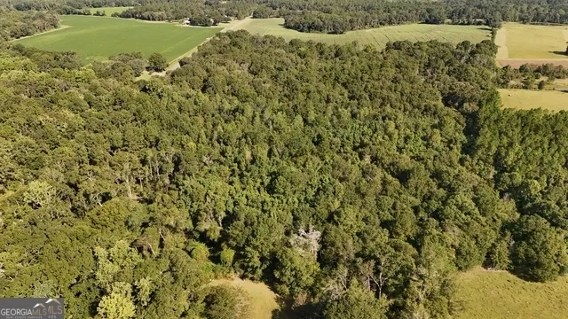 $55,000 | Lot 224 Chula Brookfield Road, Chula, GA 31733