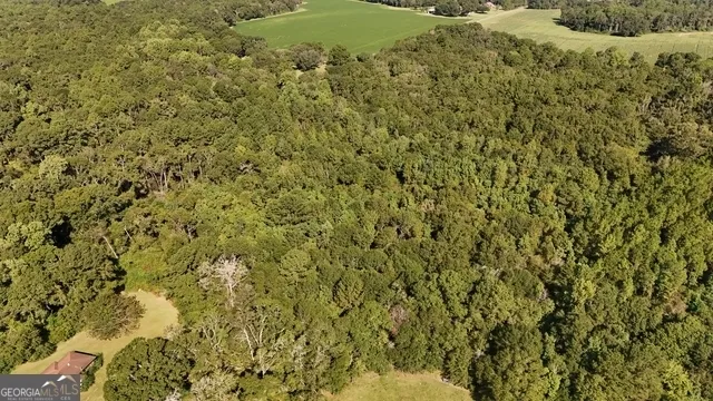 $55,000 | Lot 224 Chula Brookfield Road, Chula, GA 31733