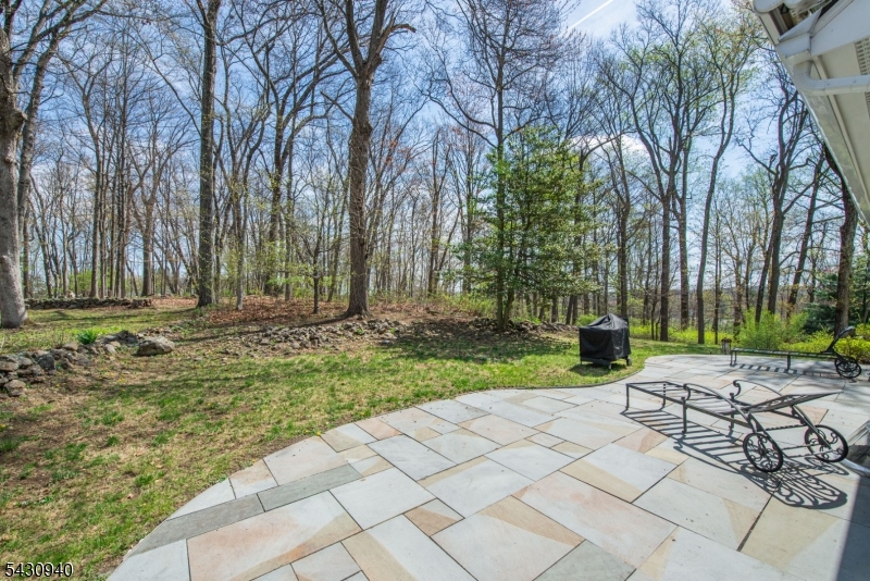 136 South Road Randolph, NJ 07945 - Photo 23 of 27