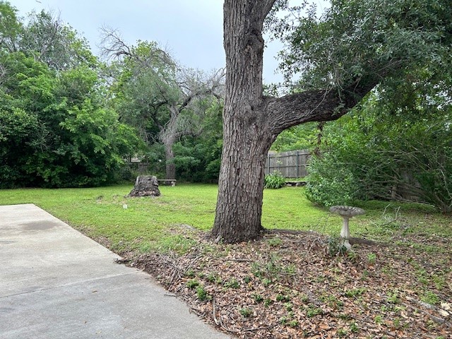 207 Castle Avenue Waco, TX 76710 - Photo 23 of 24 a view of a yard with a tree