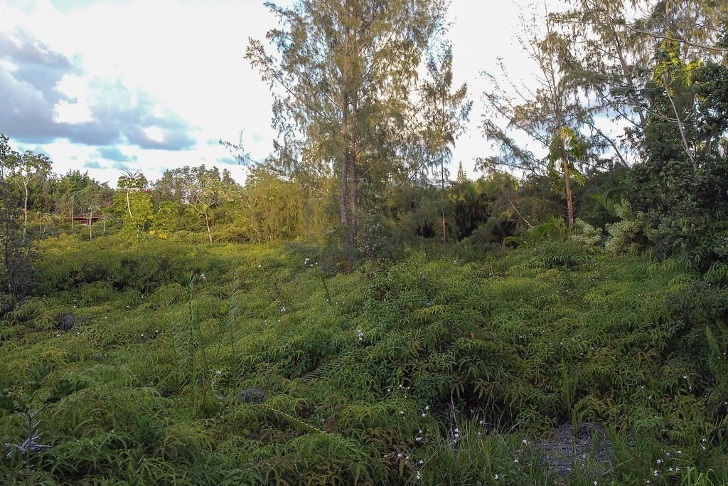 126 'a' Road Keaau, HI 96749 - Photo 6 of 9 Gallery Image 6