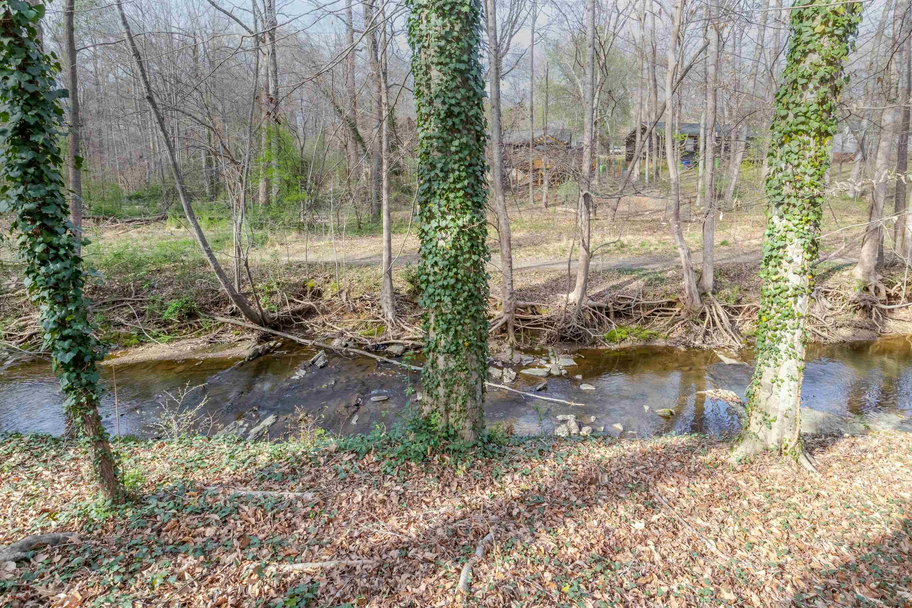 7286 Shellburne Drive Raleigh, NC 27612 - Photo 31 of 35 a view of a yard with plants