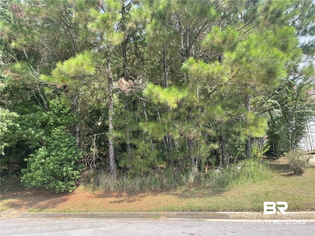 0 Bennington Drive Mobile, AL 36695 - Photo 2 of 4