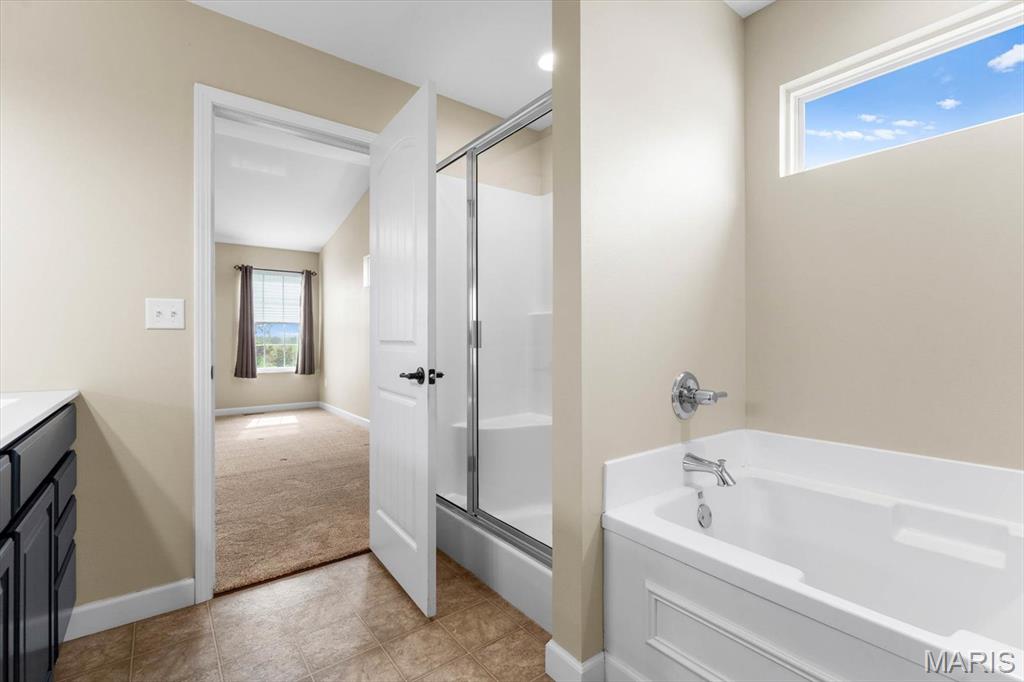 315 Independence Avenue Waterloo, IL 62298 - Photo 31 of 40 Gallery Image 31