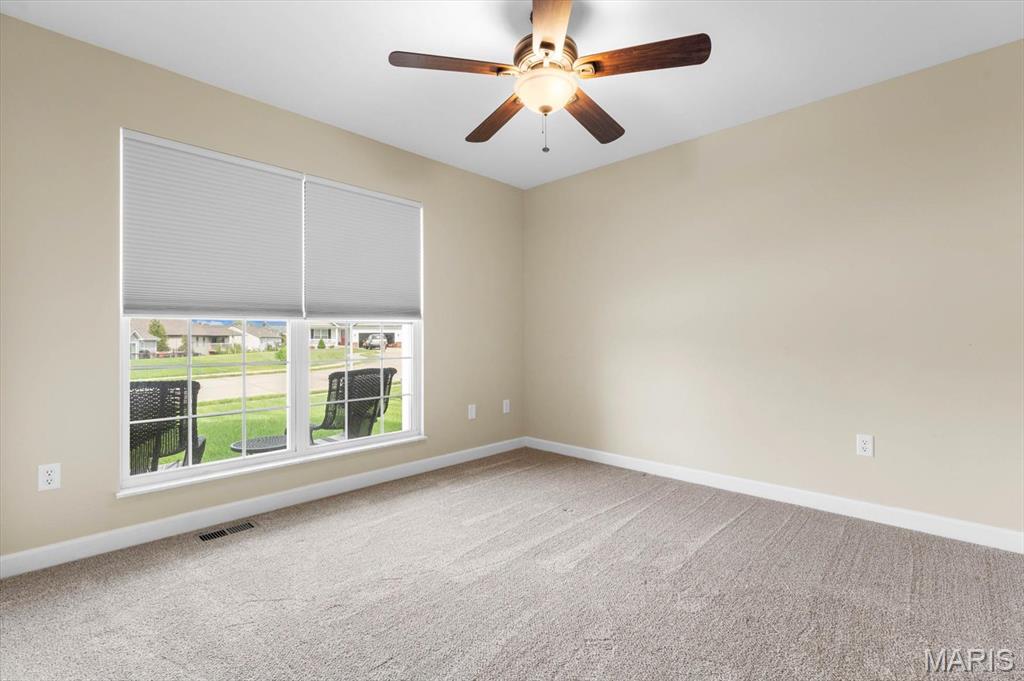 315 Independence Avenue Waterloo, IL 62298 - Photo 10 of 40 Gallery Image 10