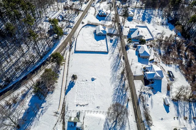 a view of a yard with a tree