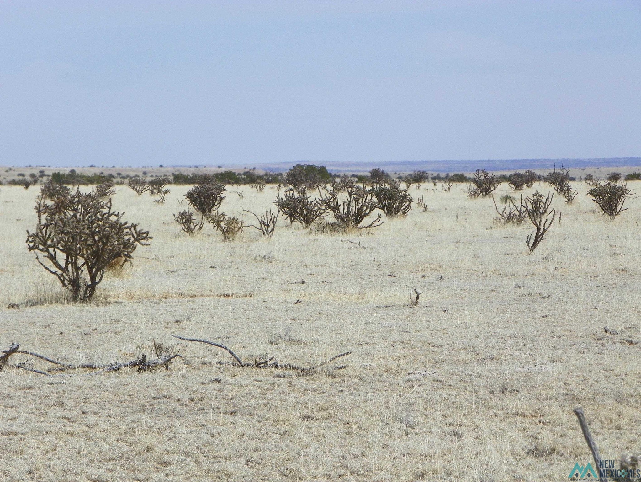 1 Pecos Spr Spur Santa Rosa, NM 88435 - Photo 10 of 29 Gallery Image 10