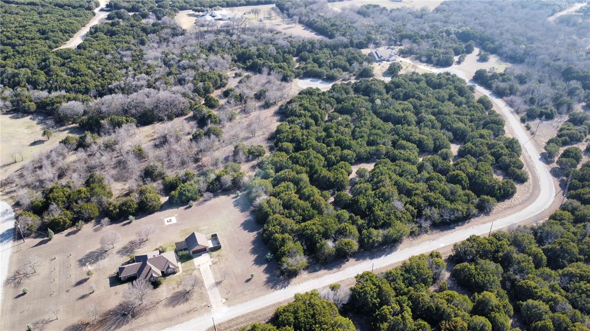 an aerial view of a house with a yard and greenery space