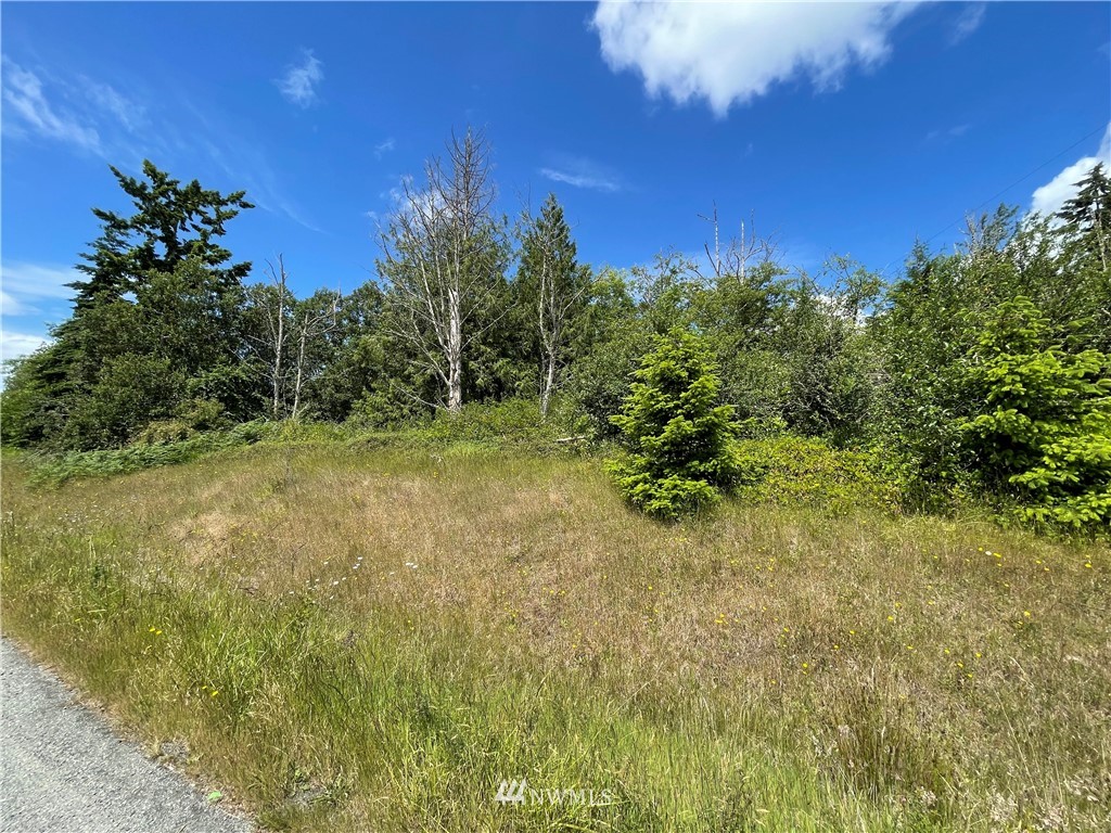 0 West Wanamaker Road Coupeville, WA 98239 - Photo 1 of 4 Gallery Image 1
