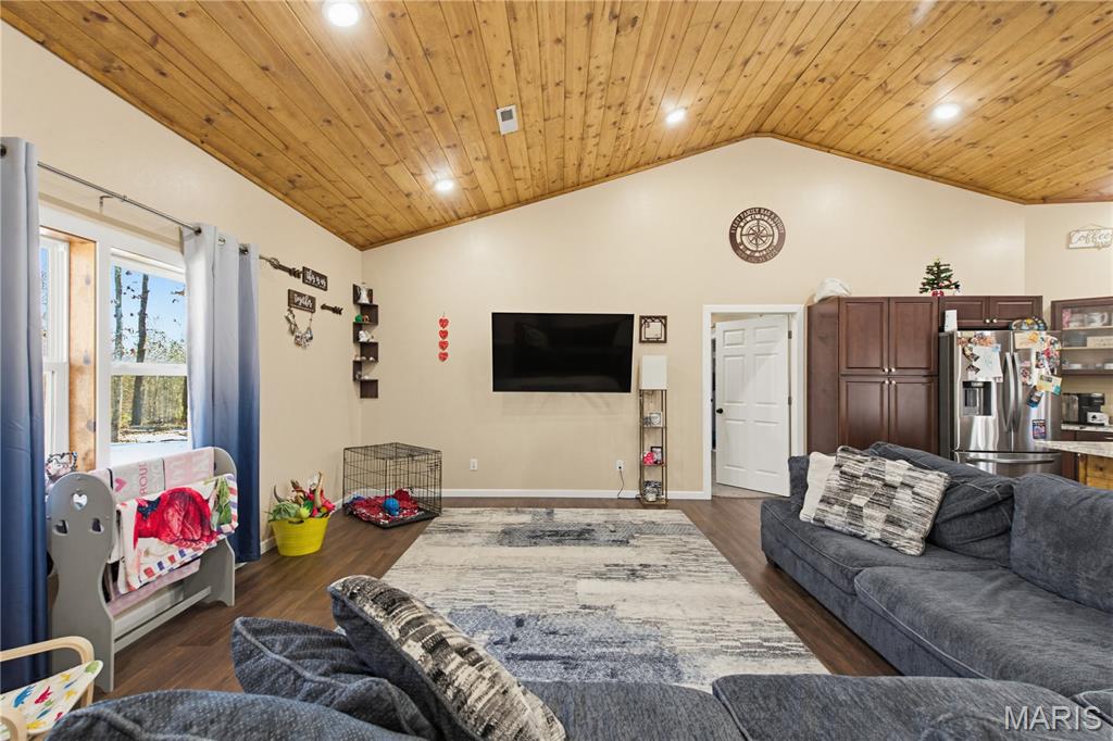 243 Big Pine Road Doniphan, MO 63935 - Photo 13 of 40