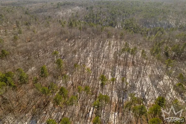 $350,000 | 243 Big Pine Road, Doniphan, MO 63935