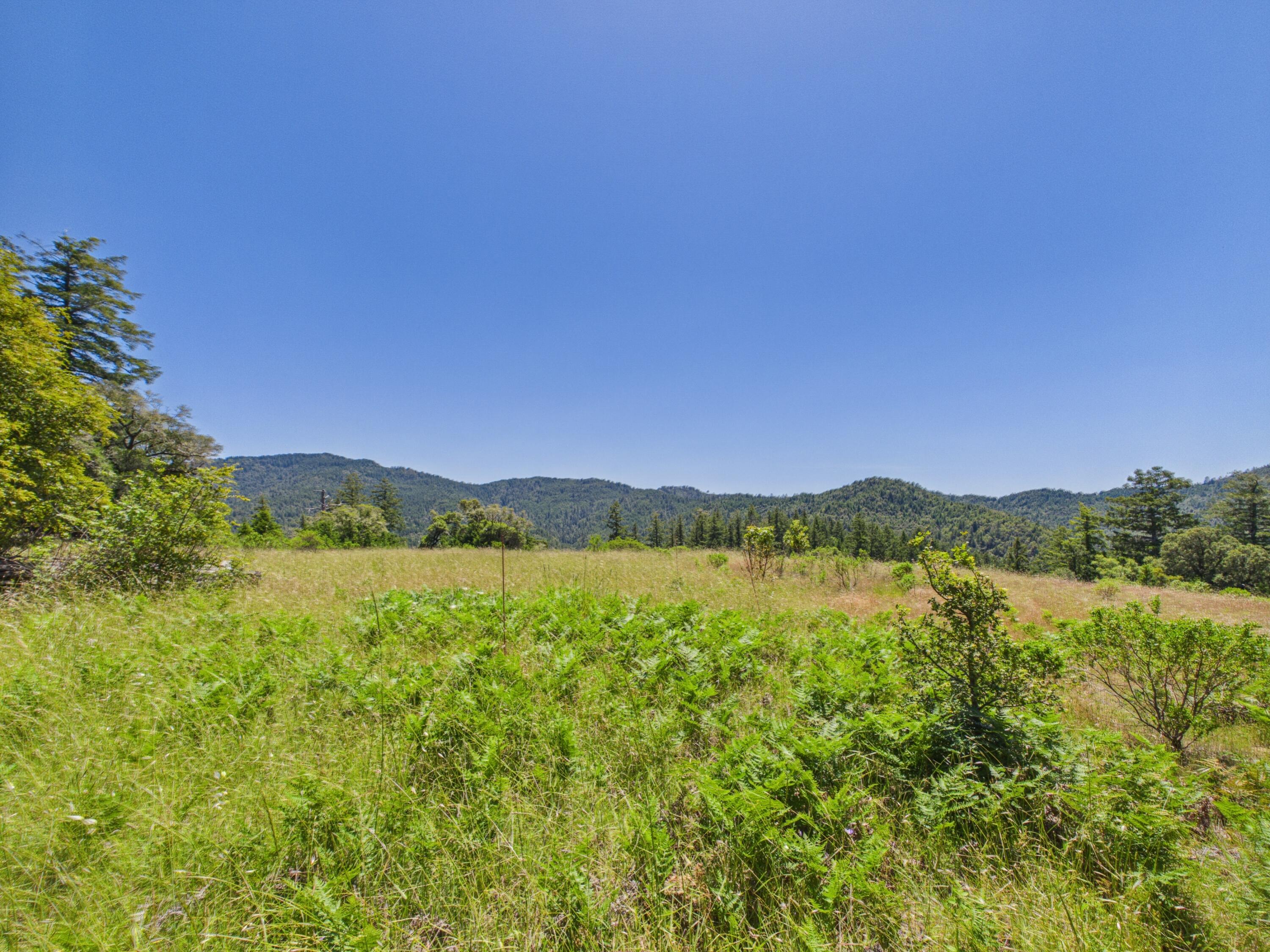 3800 Hansen Ranch Road Garberville, CA 95542 - Photo 54 of 66
