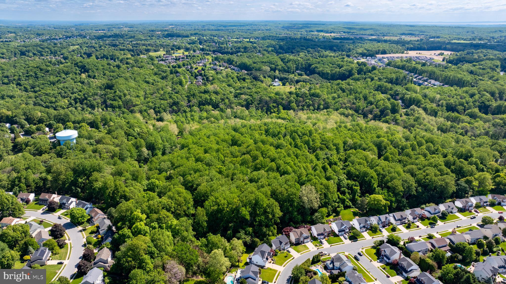 Patterson Mill Road Bel Air, MD 21015 - Photo 2 of 7 a view of a lush green forest with lots of trees