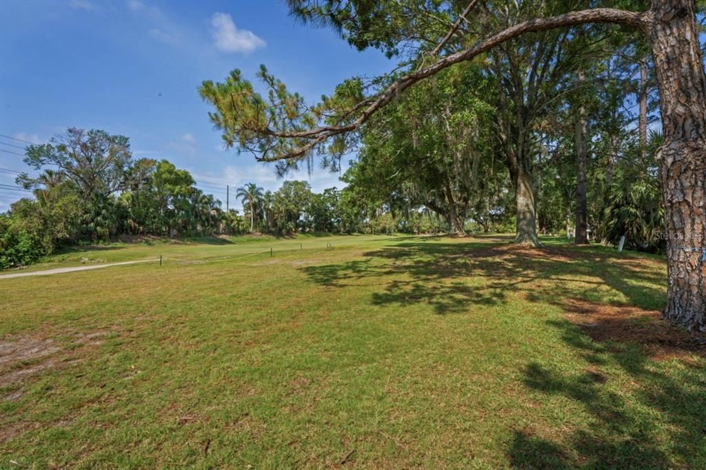 3274 Lori Lane, Unit 2 New Port Richey, FL 34655 - Photo 39 of 56 a view of a field with an trees