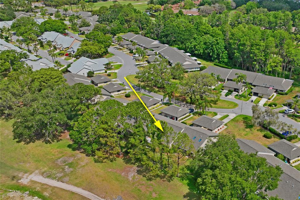 3274 Lori Lane, Unit 2 New Port Richey, FL 34655 - Photo 46 of 56 an aerial view of residential house with outdoor space and trees all around