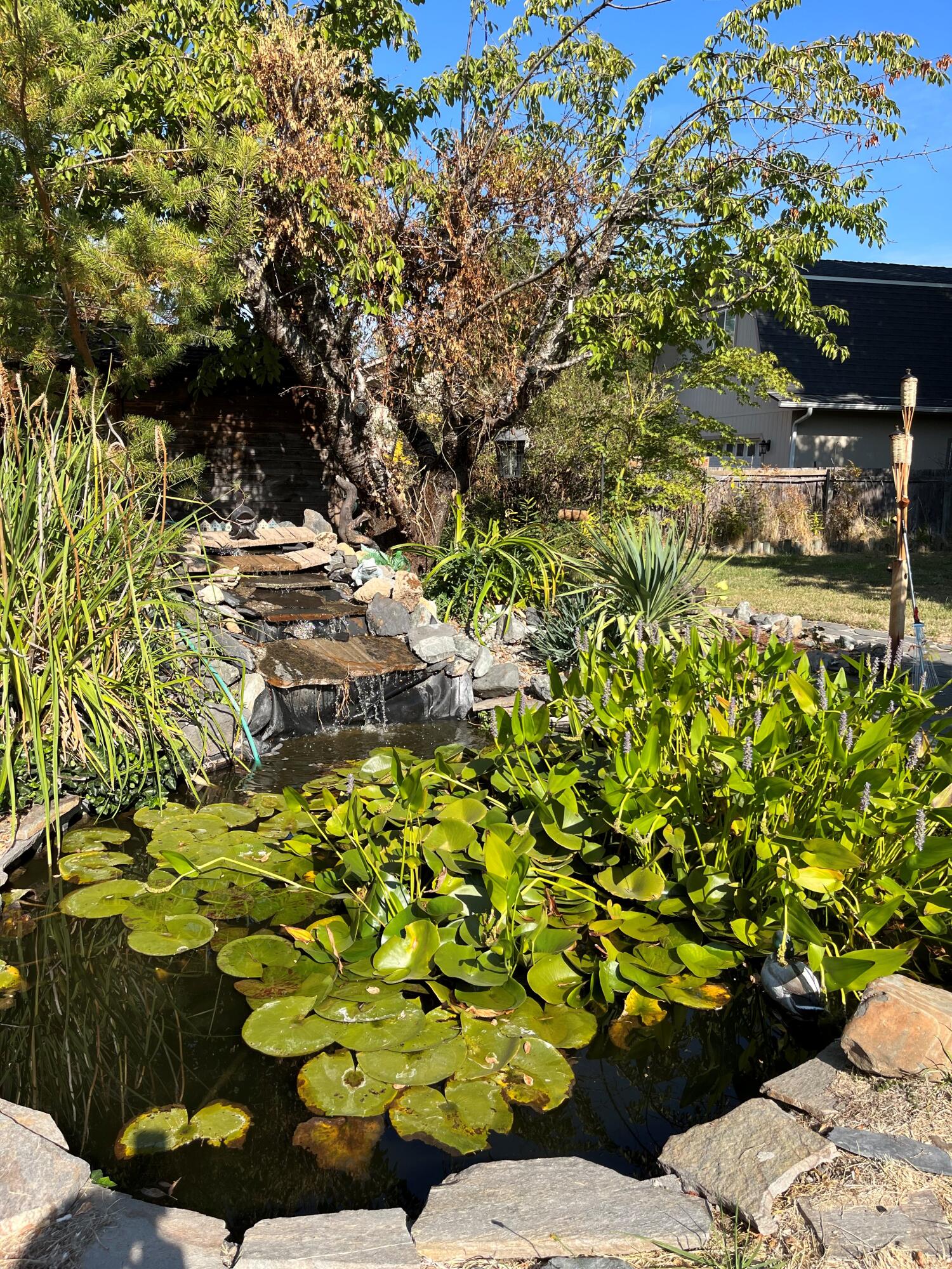 822 West Harbeck Road Grants Pass, OR 97527 - Photo 2 of 40 Water Feature - Southern Oregon Home