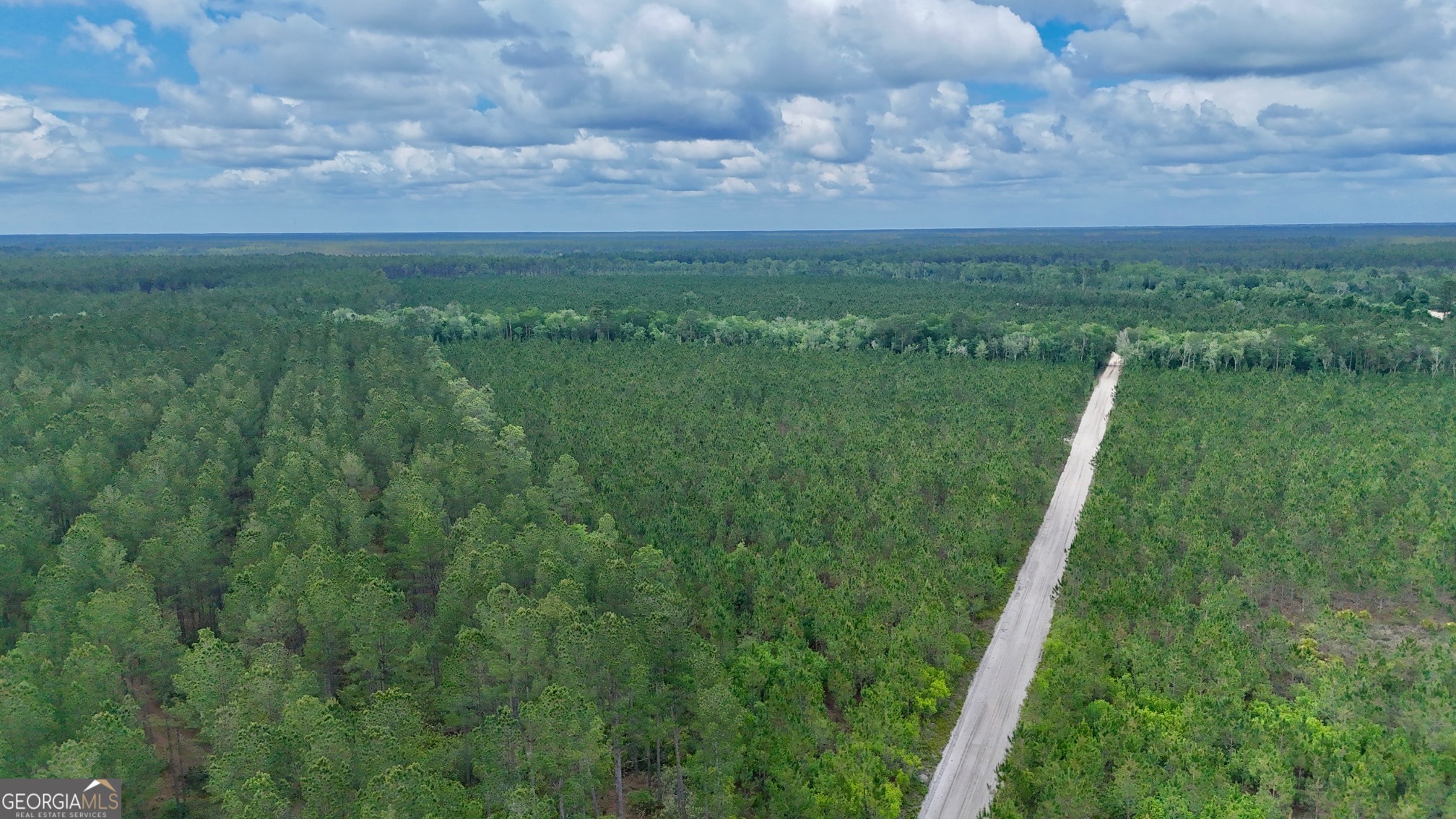 20-ac Owens Road Odum, GA 31555 - Photo 2 of 3