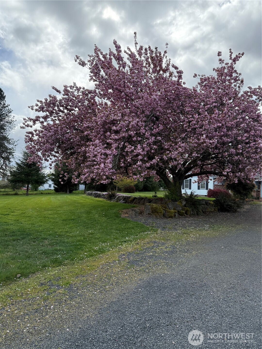 759 Nevil Road Winlock, WA 98596 - Photo 11 of 34