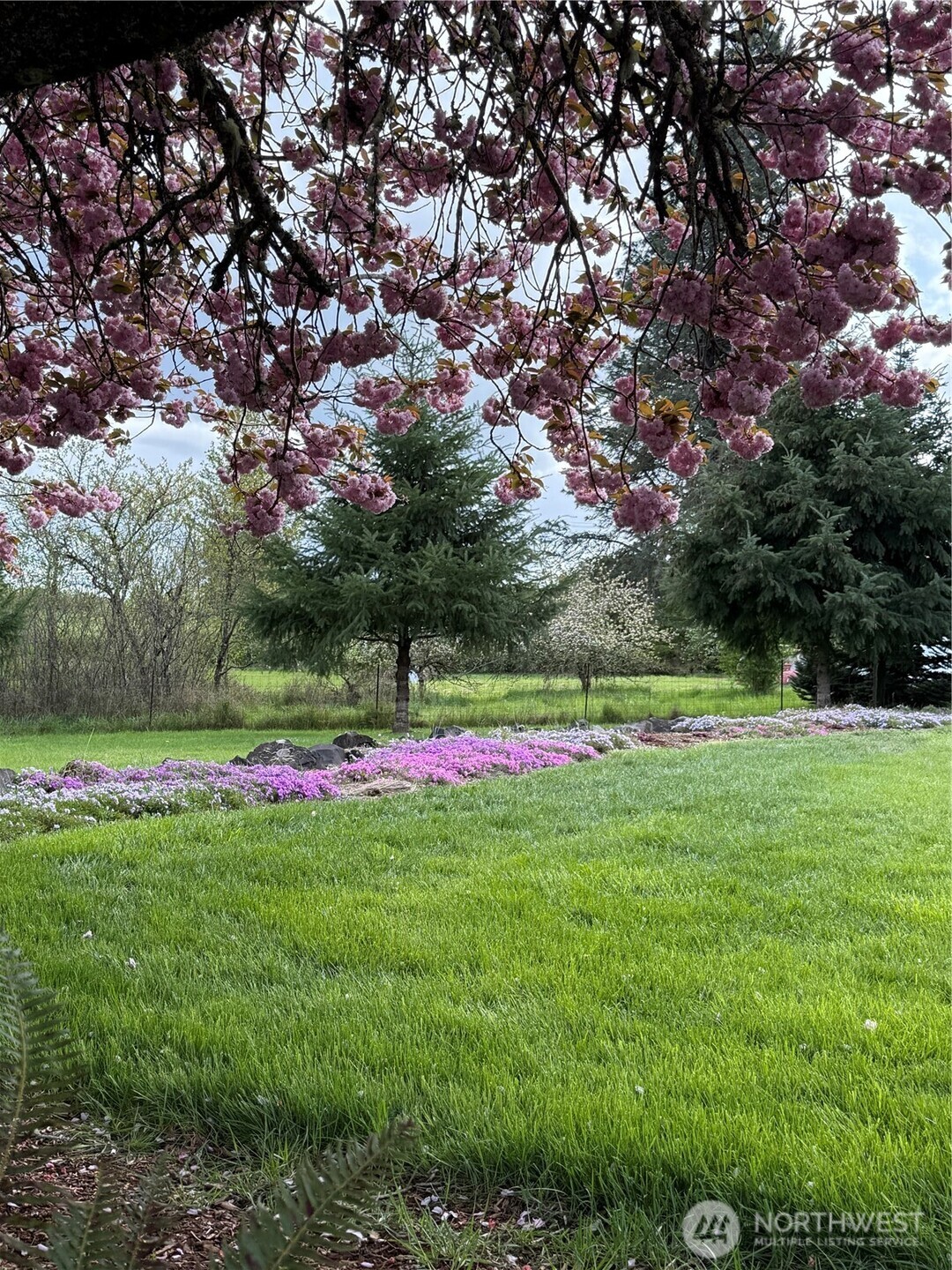 759 Nevil Road Winlock, WA 98596 - Photo 32 of 34