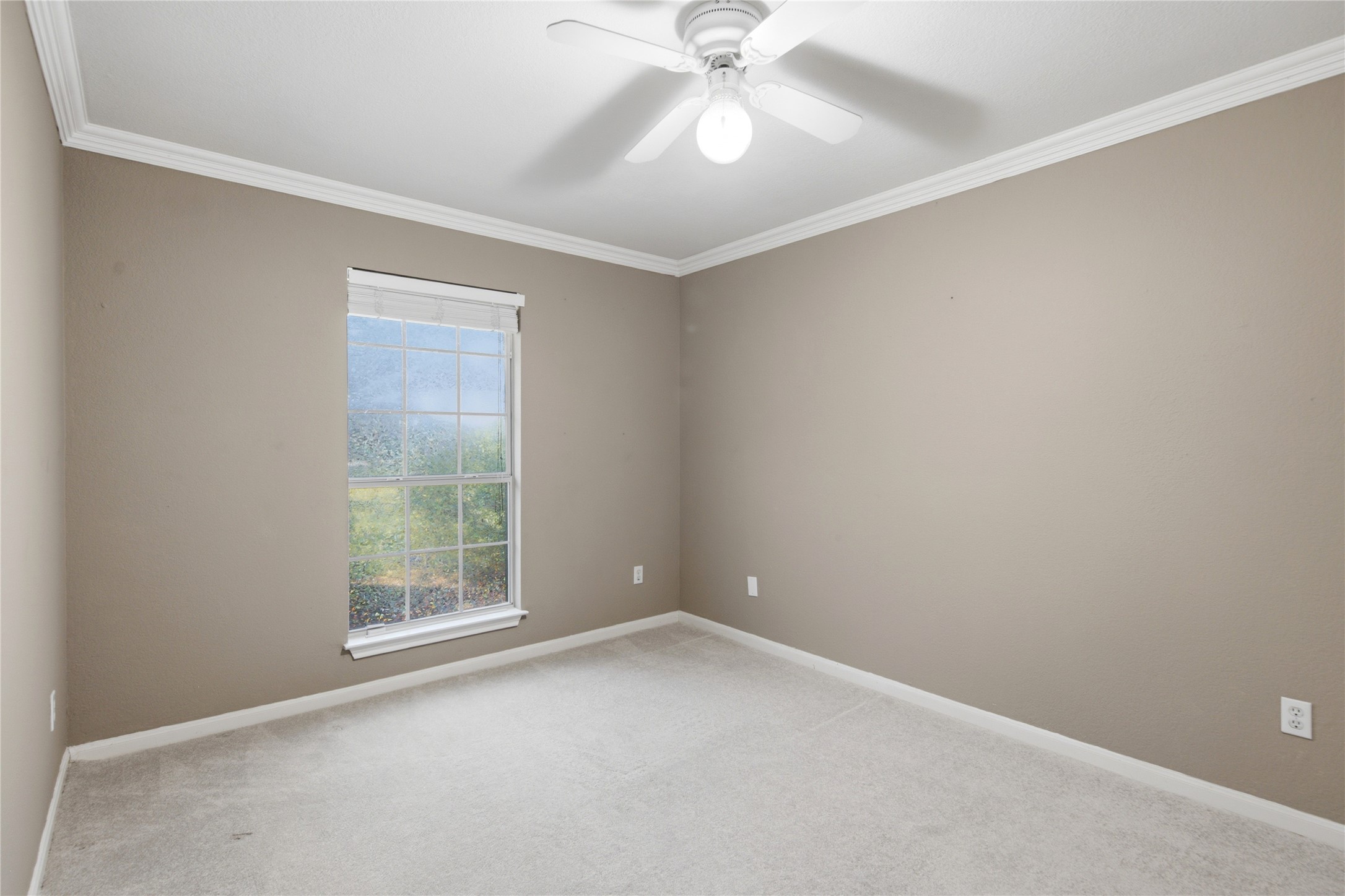 6032 Roxbury Lane Austin, TX 78739 - Photo 23 of 34 Crisp crown molding accents this cozy bedroom featuring soft carpeting and natural light.