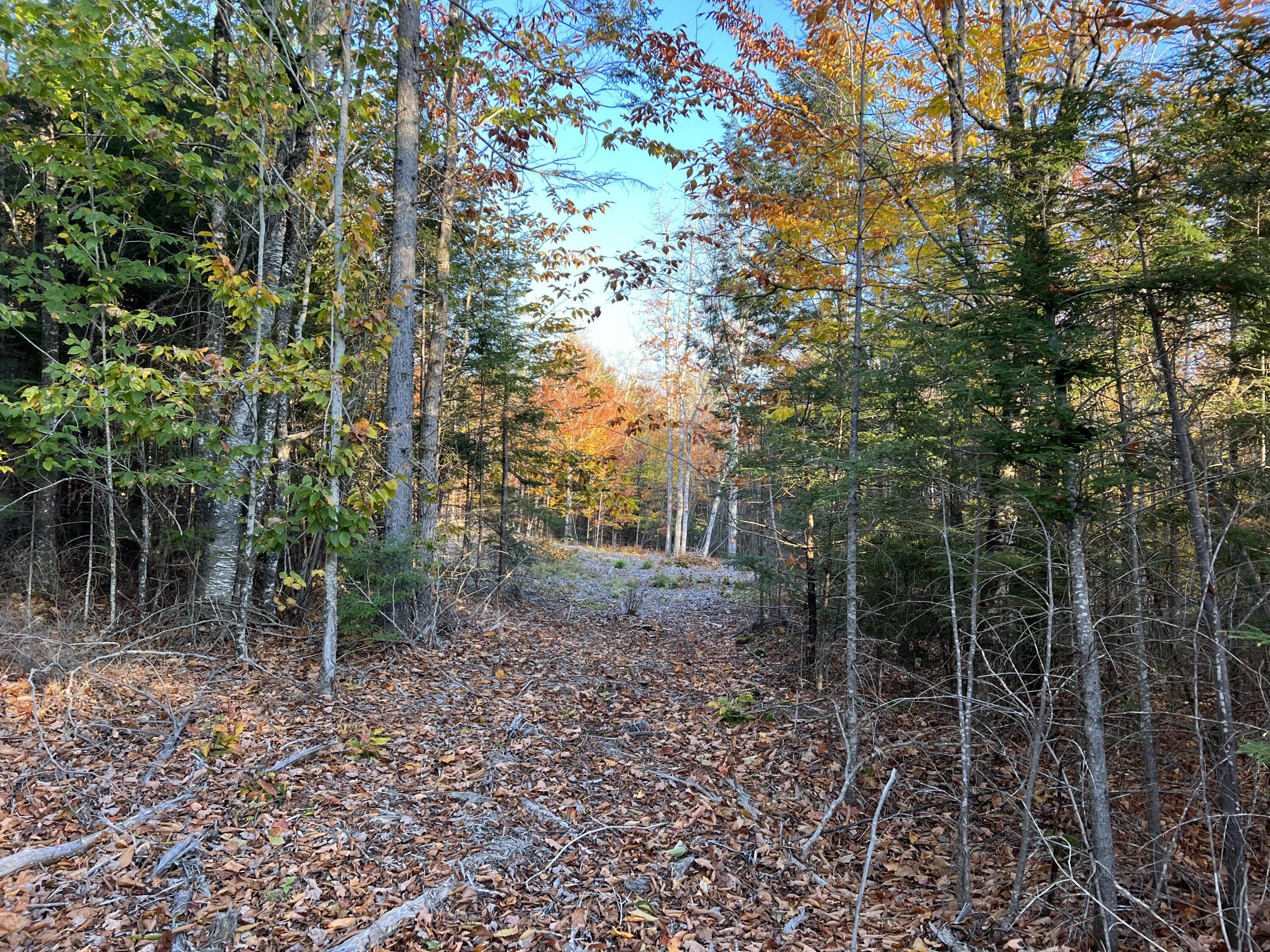 55 Bobcat Lane Ellsworth, ME 04605 - Photo 2 of 9 Lot 88