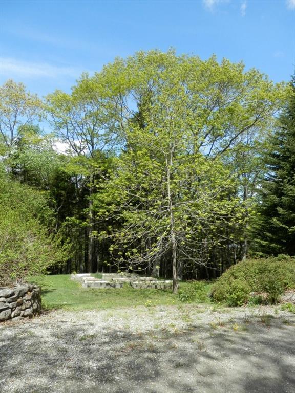 56 Hathorn Point Road Tenants Harbor, ME 04860 - Photo 32 of 34 Raised garden beds