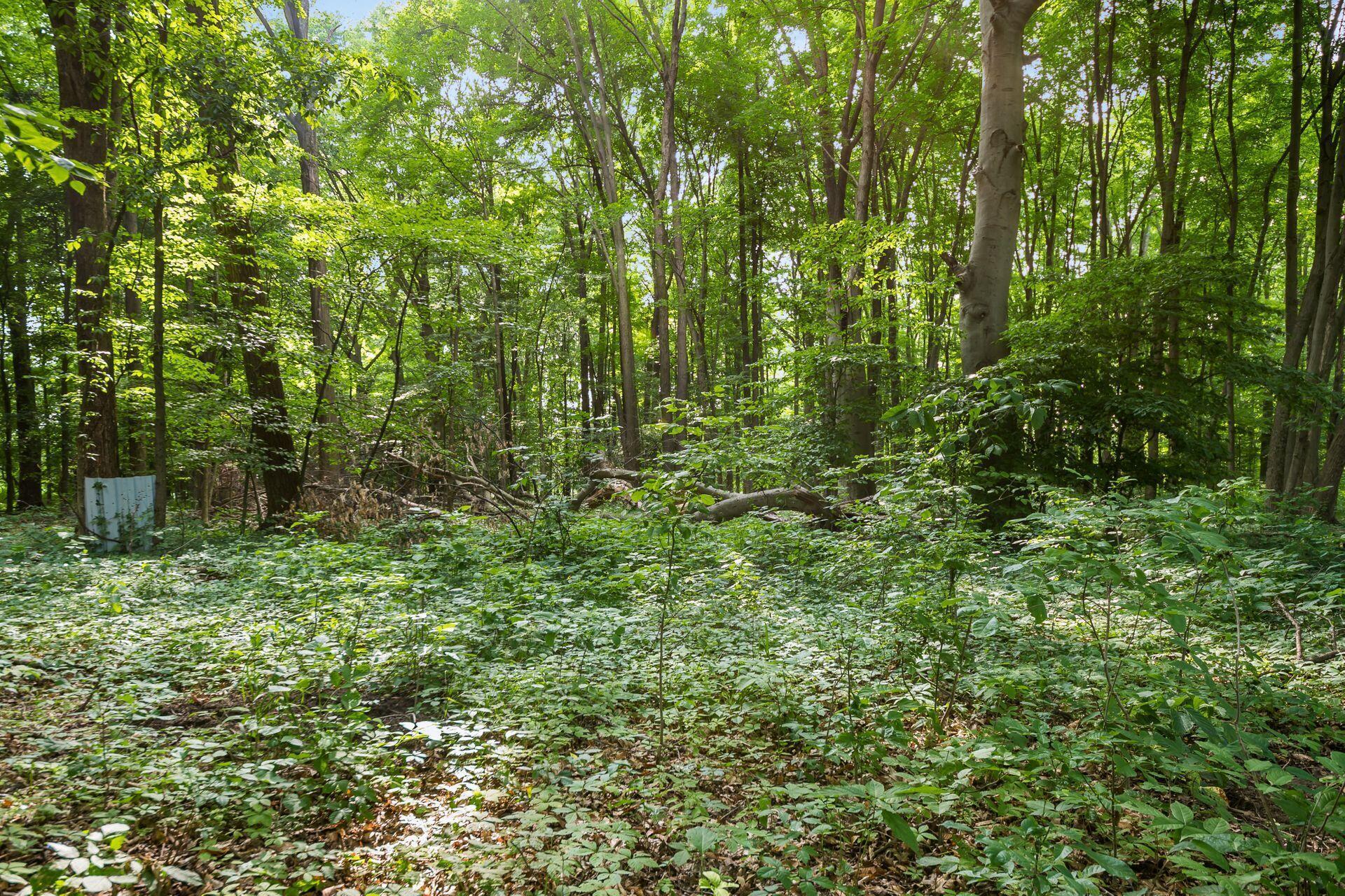 7989 Harlem Road Westerville, OH 43081 - Photo 48 of 67 047_2d1ac_L 7989 Harlem Rd038