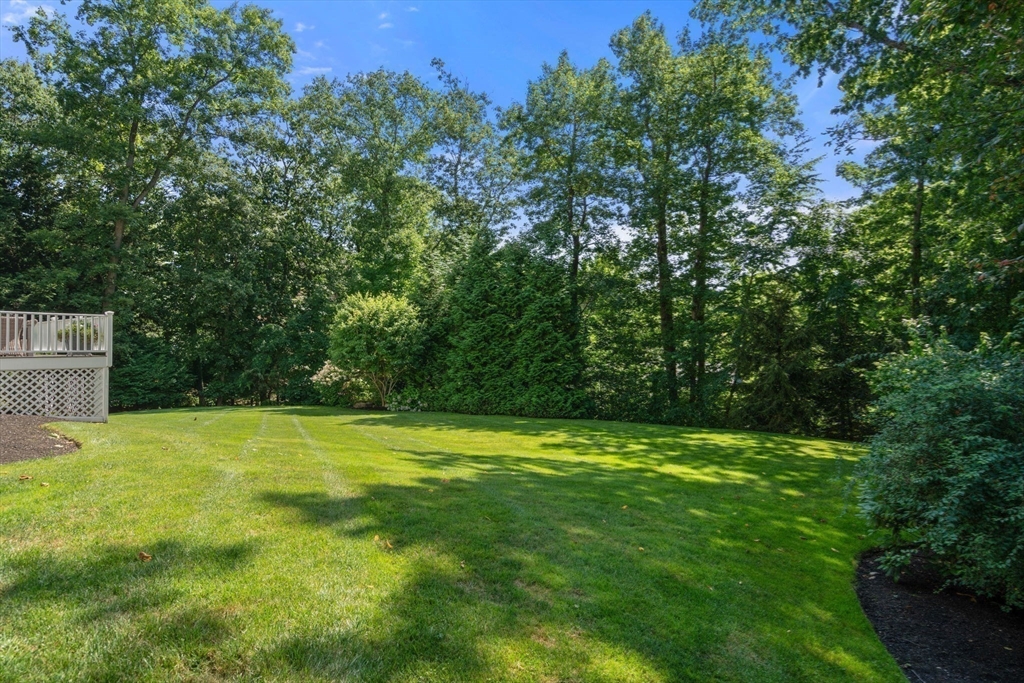 88 Albion Road Wellesley, MA 02481 - Photo 25 of 27 a view of a field with a trees in the background
