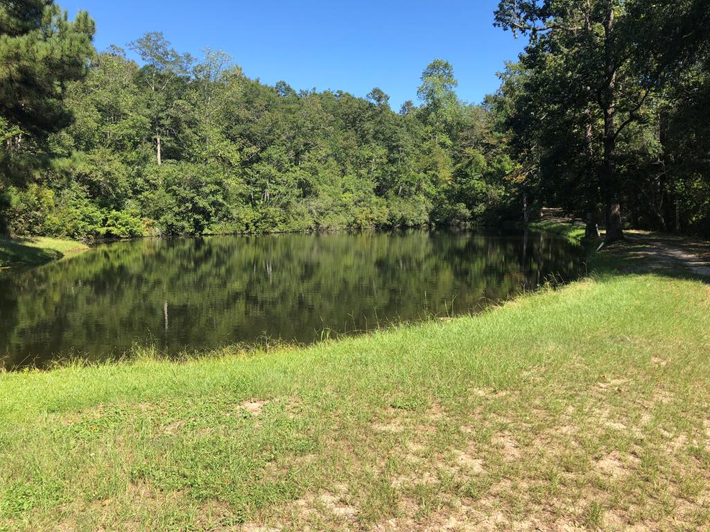 0 Jackson Loop Ozark, AL 36360 - Photo 1 of 13 Main View