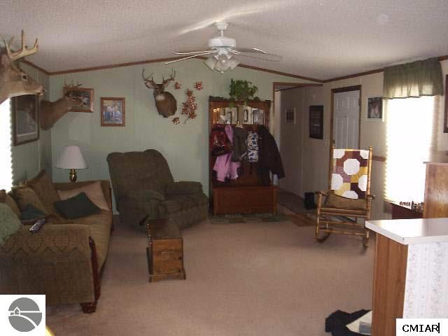 6902 South Coldwater Road Blanchard, MI 49310 - Photo 3 of 7 1768810-2.JPG