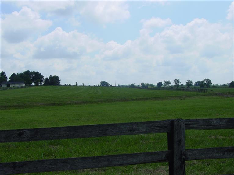 1501 Bethlehem Road Paris, KY 40361 - Photo 7 of 11 Photo 7