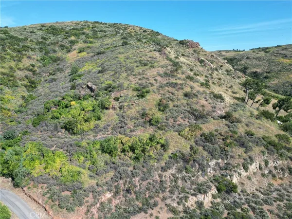 a view of a large mountain with trees in the background