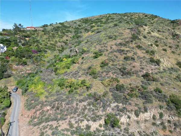 a view of a large mountain with trees in the background