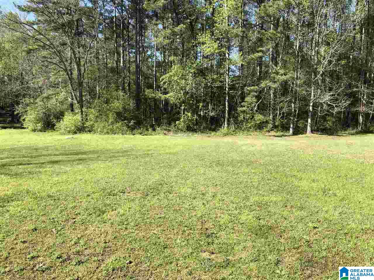 711 Rabbittown Road Gadsden, AL 35905 - Photo 12 of 21