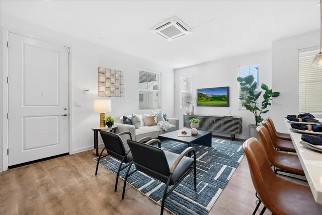 a living room with furniture a rug and a potted plant