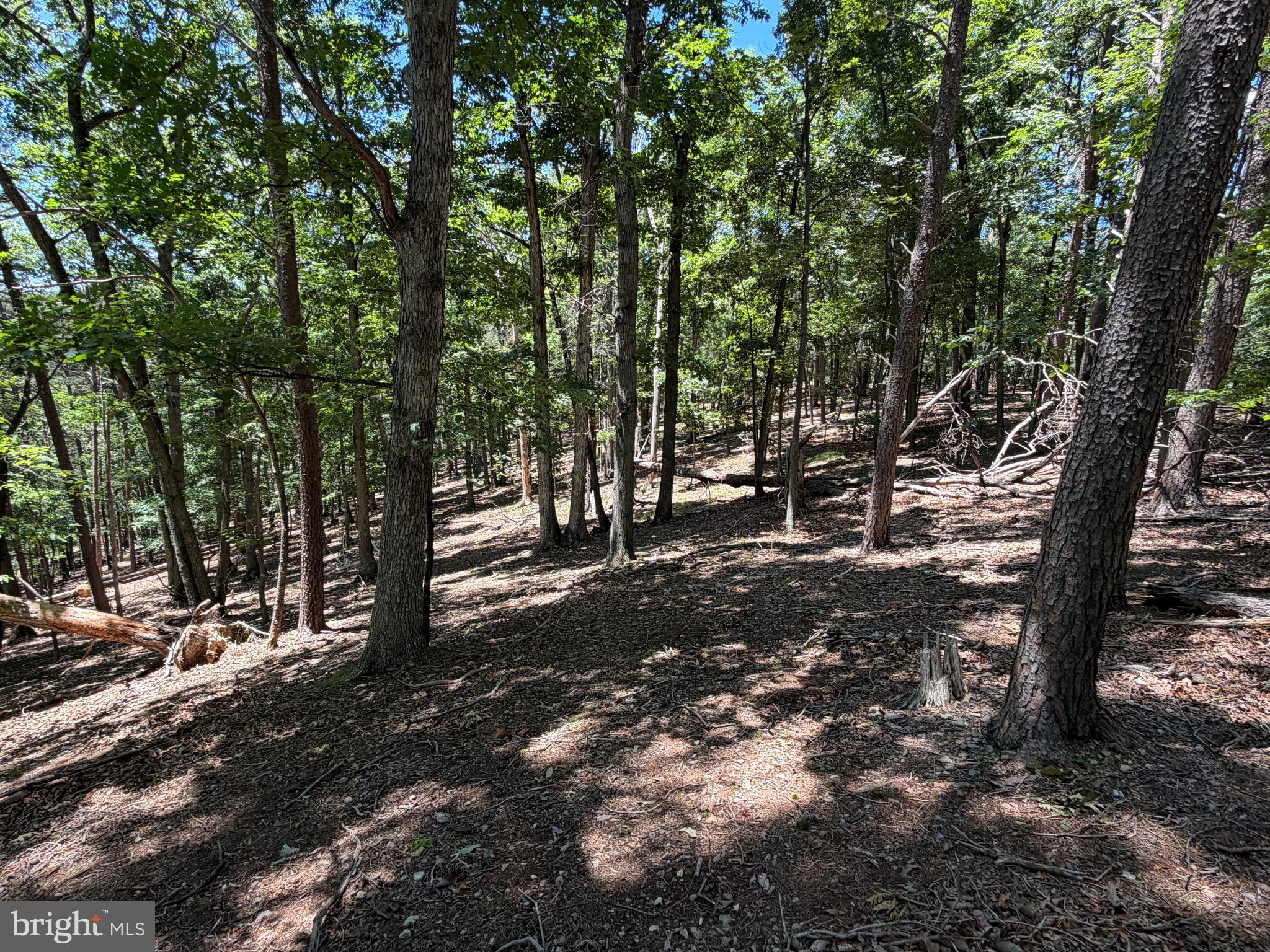 511 Chickadee Road Purgitsville, WV 26852 - Photo 46 of 99