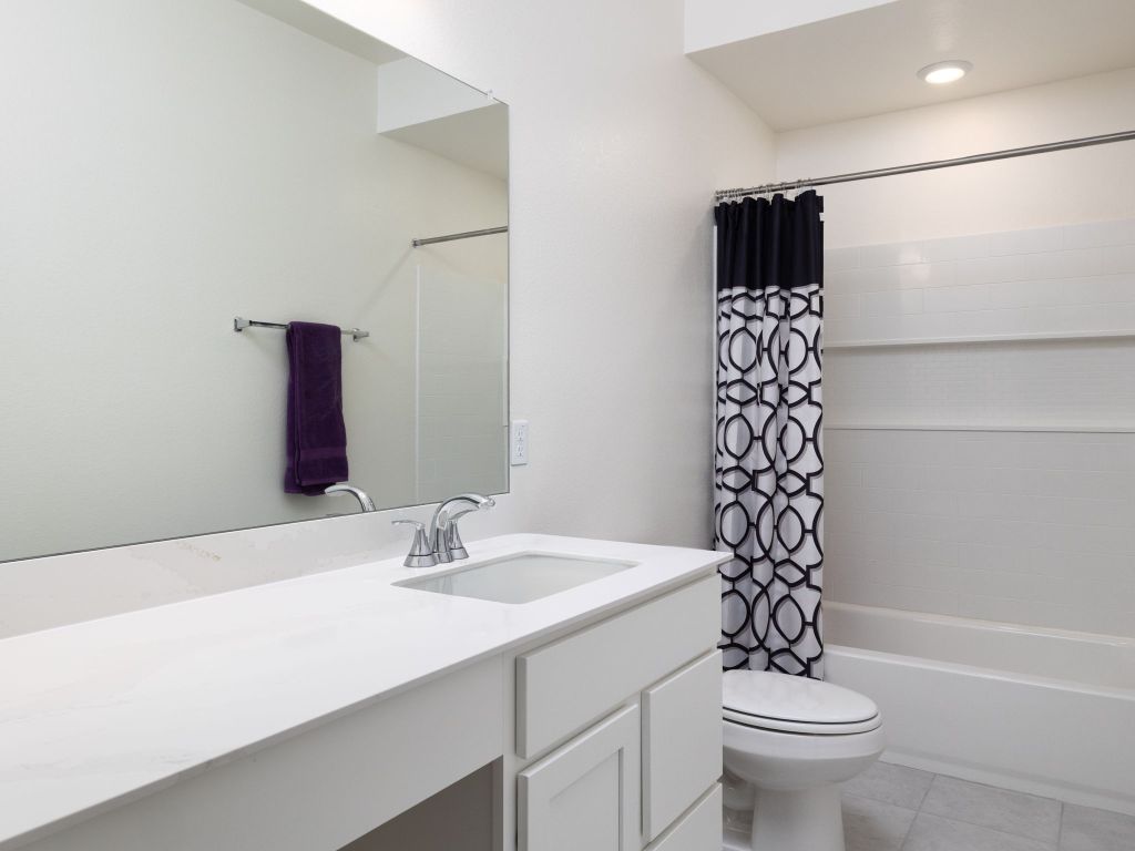 3921 Riardo Drive Round Rock, TX 78665 - Photo 26 of 27 a bathroom with a sink toilet and shower