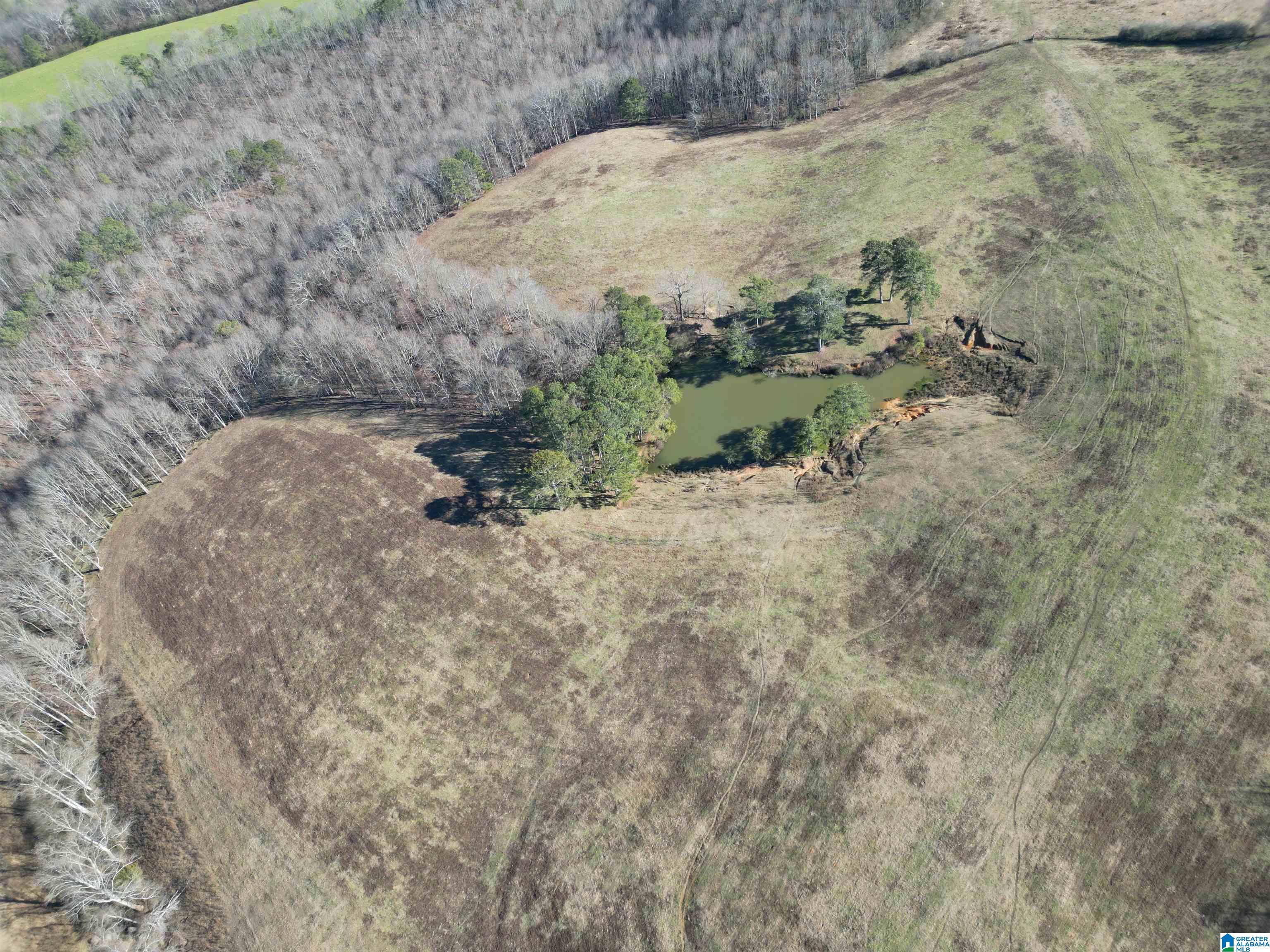 682 County Road 832 Logan, AL 35098 - Photo 35 of 48