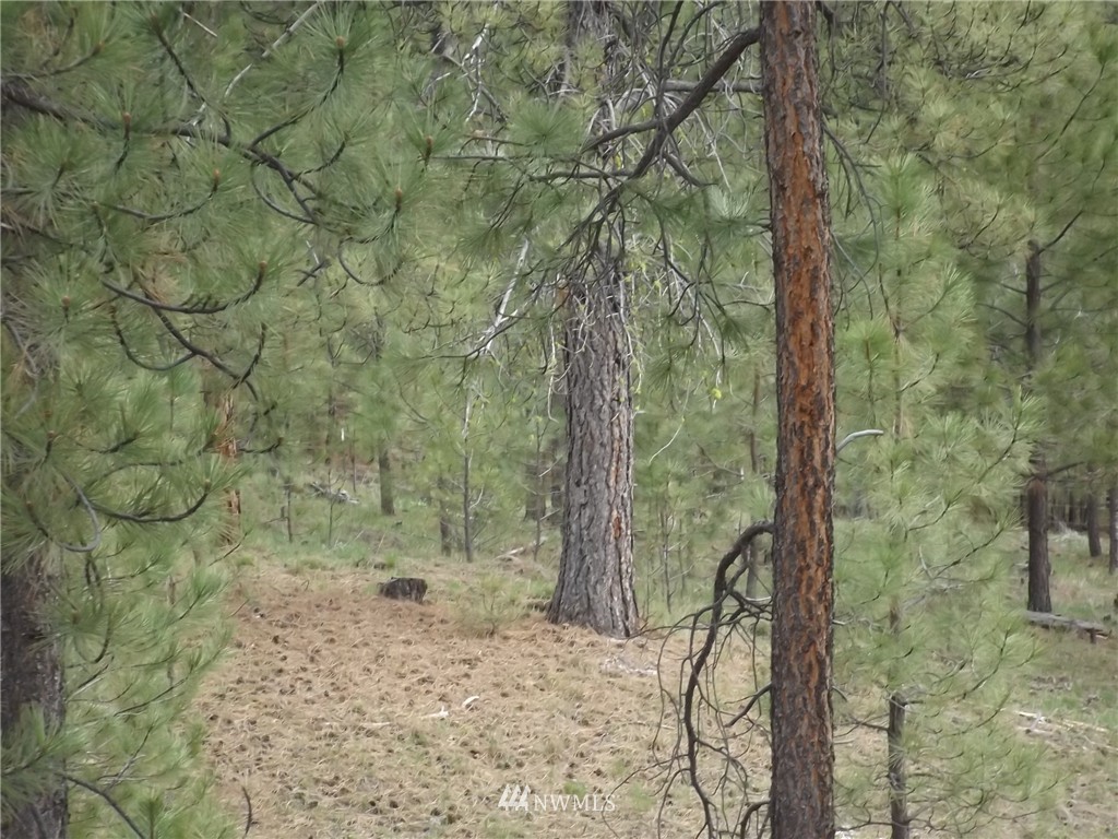 7 Chief Joseph Spur West Riverside, WA 98849 - Photo 10 of 25 Gallery Image 10