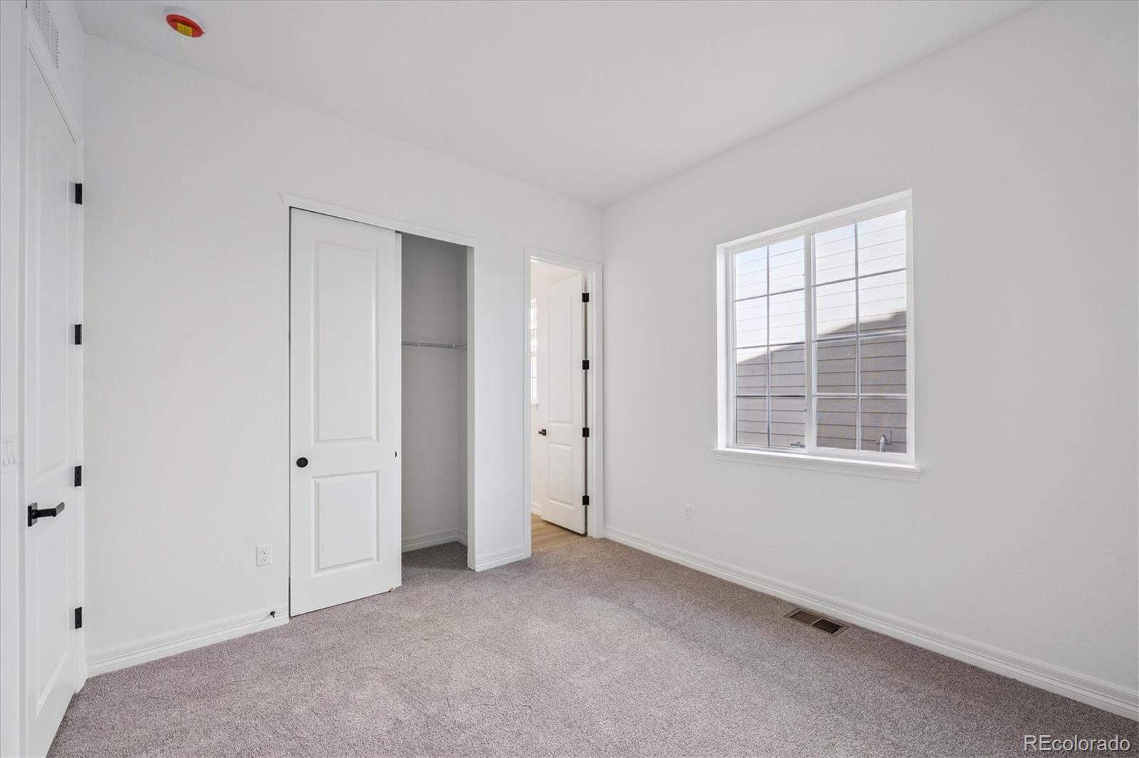 1180 Weller Street Timnath, CO 80547 - Photo 18 of 26 an empty room with windows