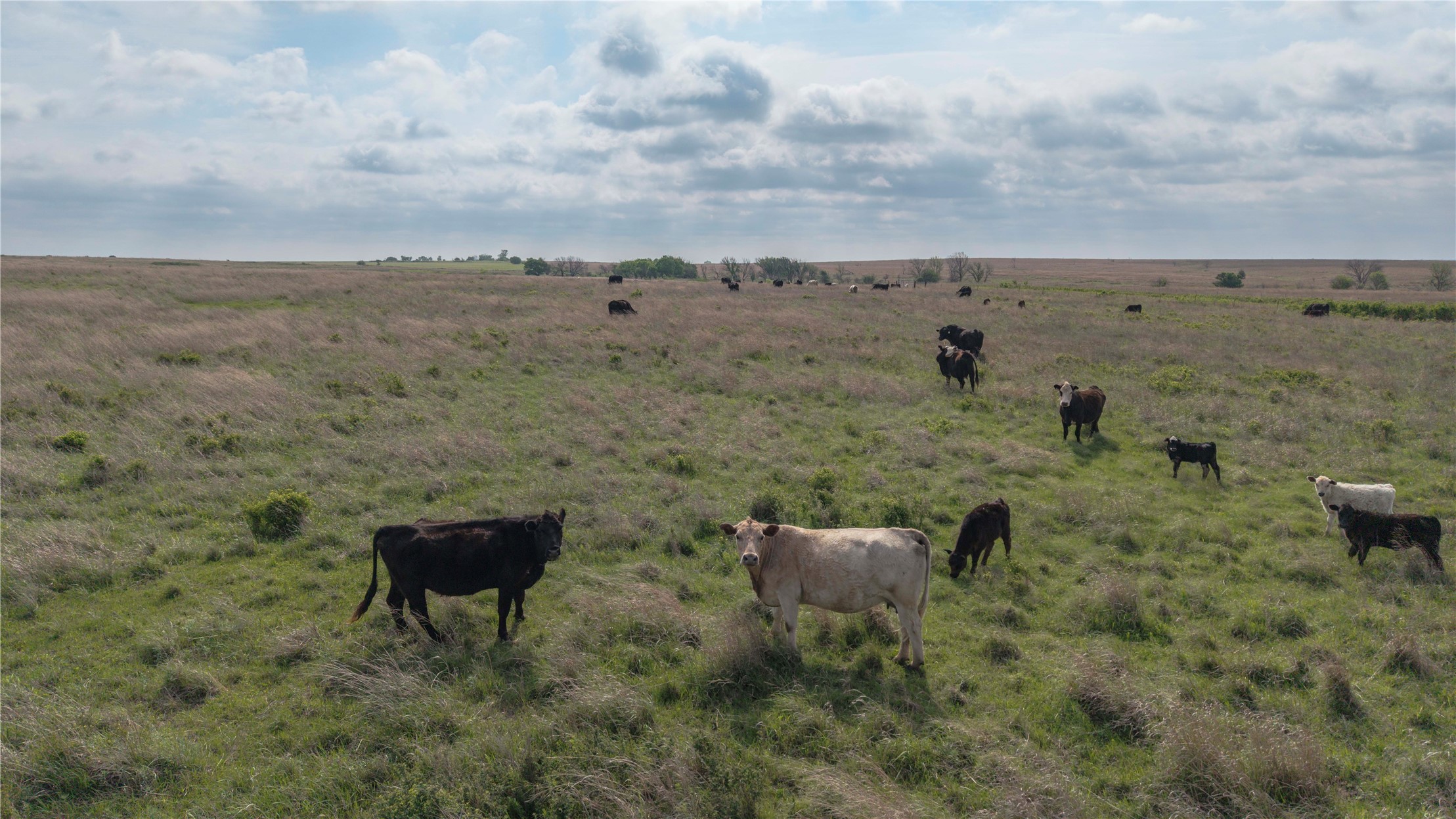 42 East 4500 Road Morrison, OK 73061 - Photo 28 of 37 Gallery Image 28
