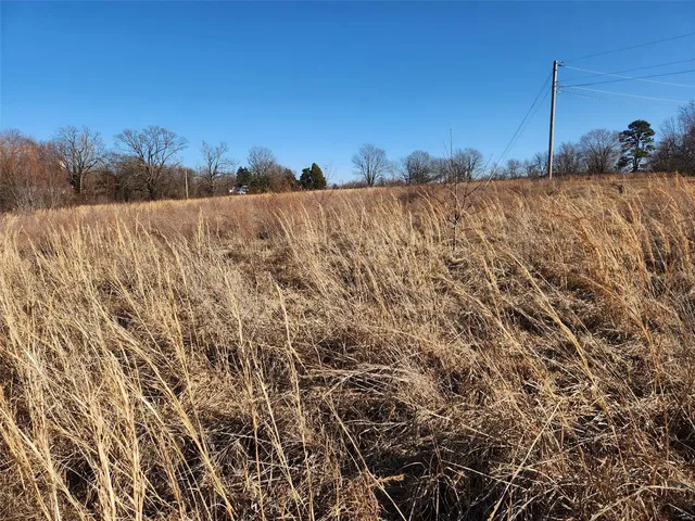 $199,000 | Tbd West Pine Street, Phillipsburg, MO 65722