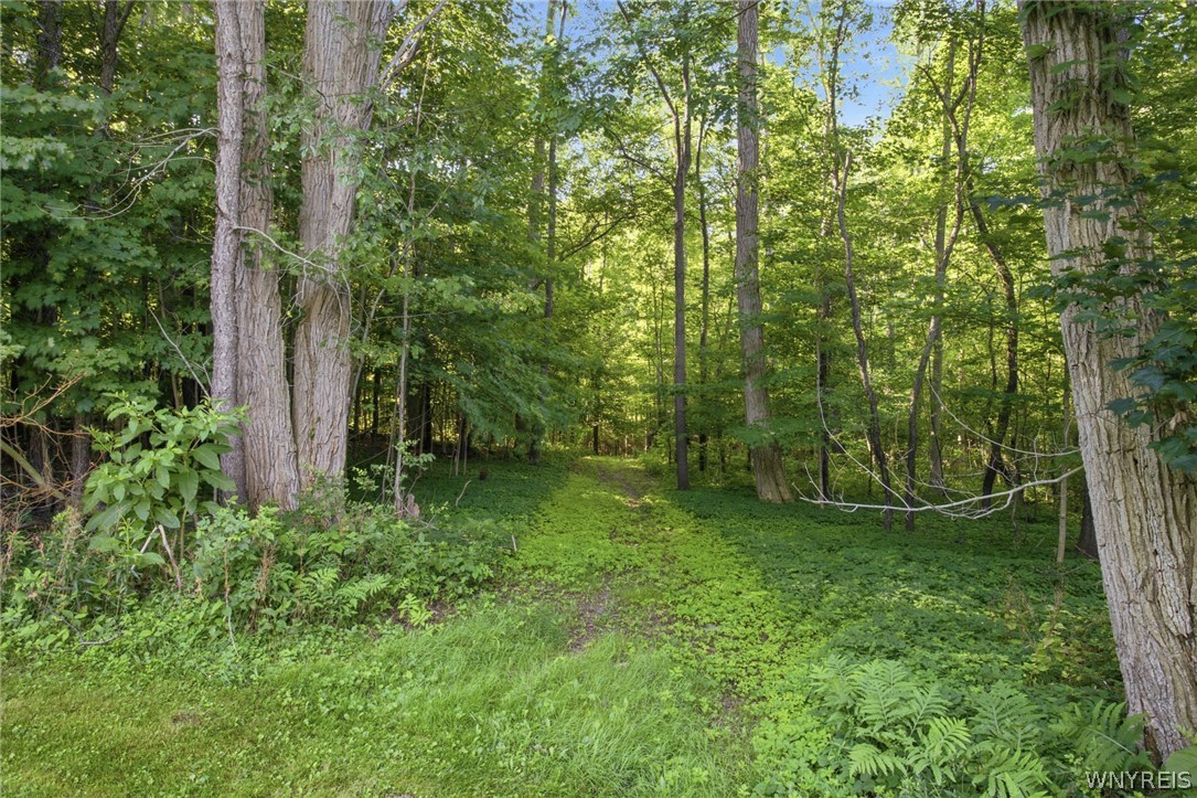 8327 Indian Falls Road Pembroke, NY 14036 - Photo 28 of 42
