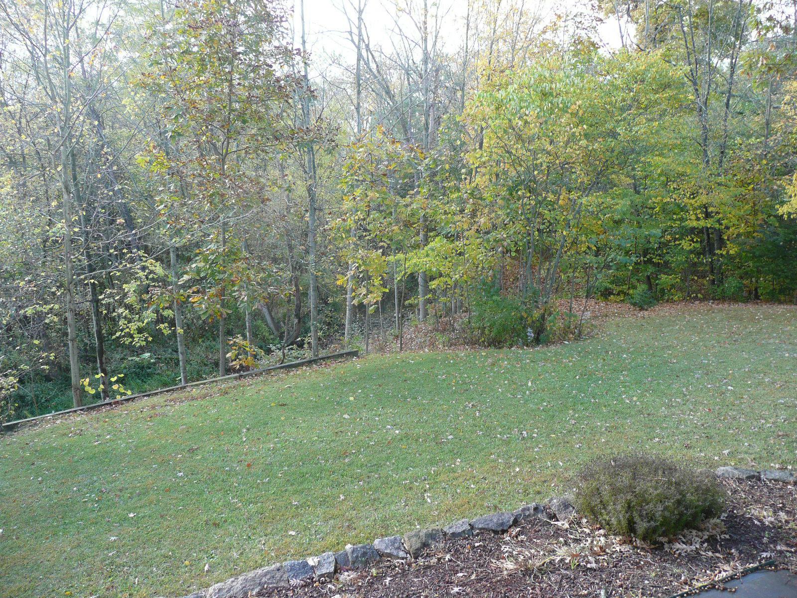 65 Penry Road Delaware, OH 43015 - Photo 6 of 39