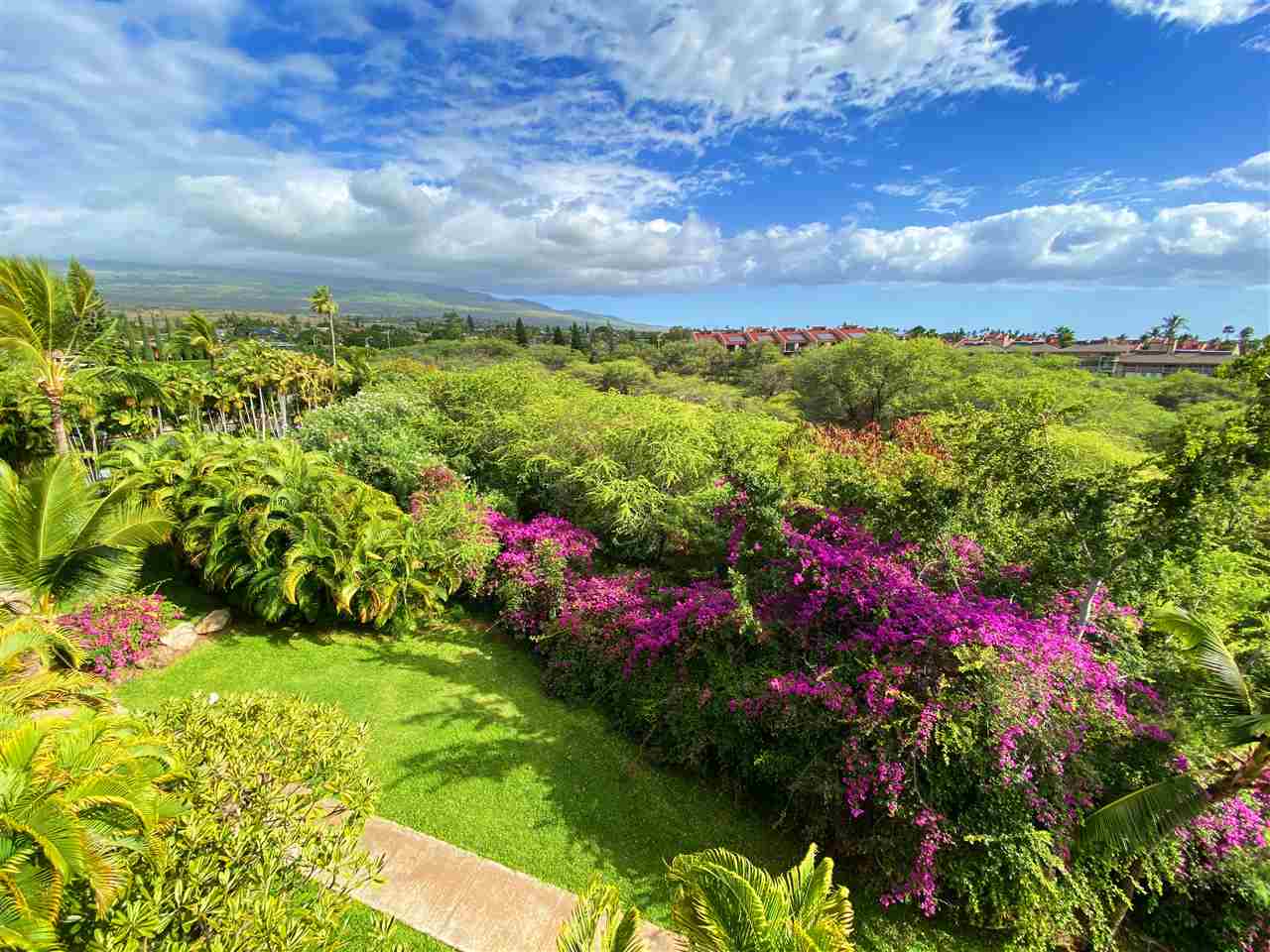 2575 South Kihei Road, Unit Q401/401A Kihei, HI 96753 - Photo 17 of 25 a view of a garden with flowers