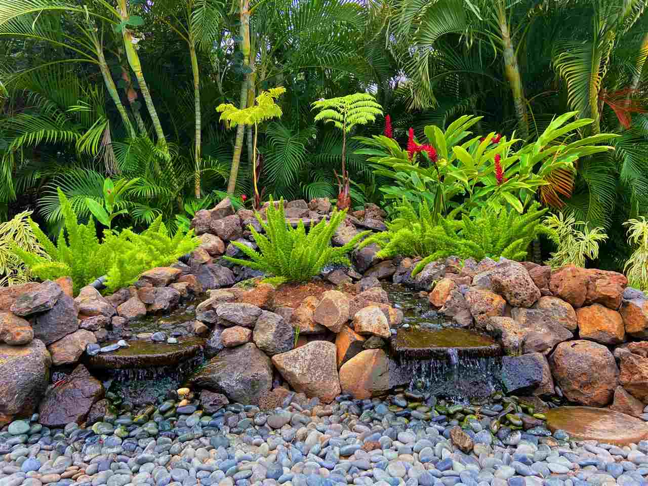 2575 South Kihei Road, Unit Q401/401A Kihei, HI 96753 - Photo 18 of 25 a bunch of flowers are in a garden
