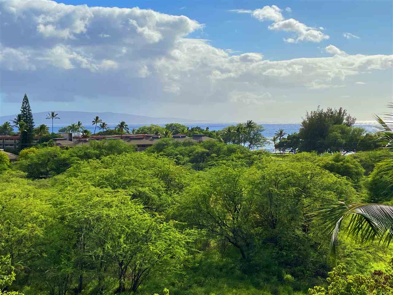 2575 South Kihei Road, Unit Q401/401A Kihei, HI 96753 - Photo 2 of 25 a view of a bunch of trees in a field