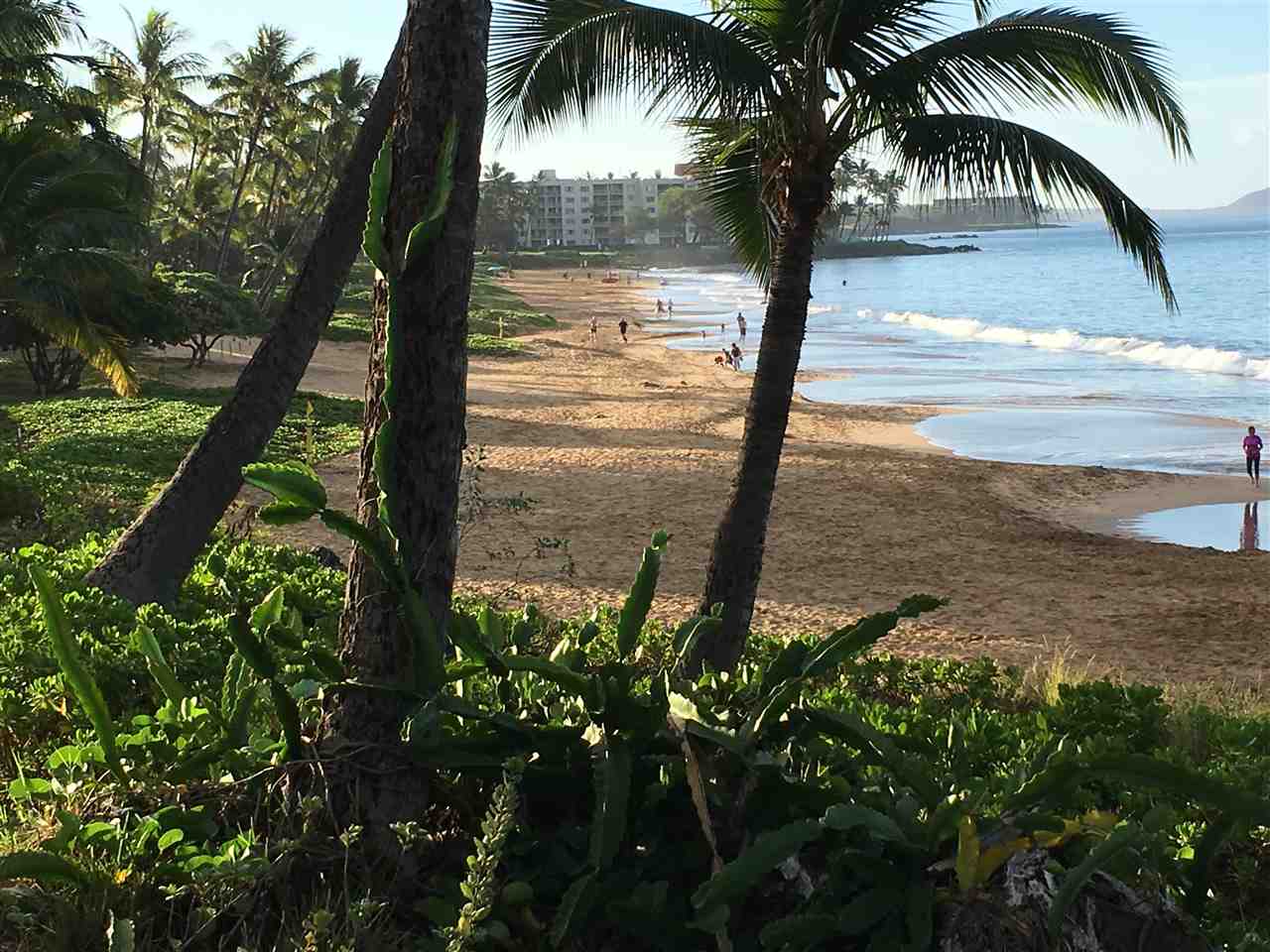 2575 South Kihei Road, Unit Q401/401A Kihei, HI 96753 - Photo 25 of 25 a view of ocean